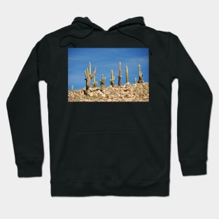 Argentine - Quebrada de Humahuaca Hoodie